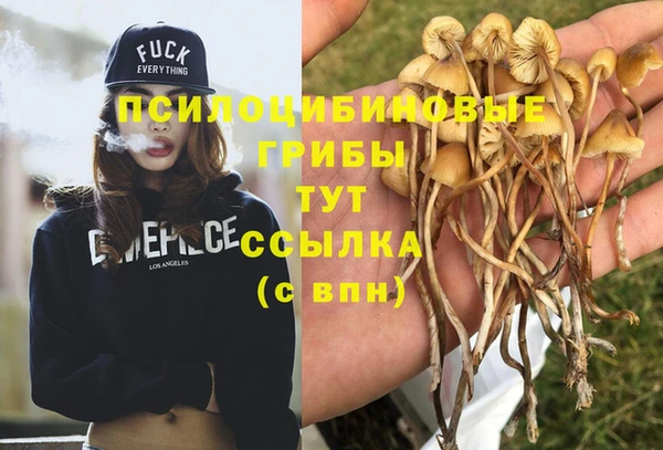 крисы Киреевск