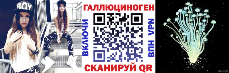 Купить закладки  Грозный  Галлюциногенные грибы Psilocybine cubensis 