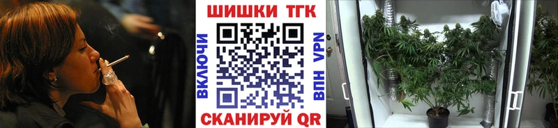 Купить  Грозный  Шишки марихуана семена 